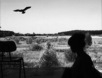 Watch Entzauberungen