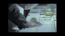 Watch Le laboratoire de l'angoisse (Short 1971)