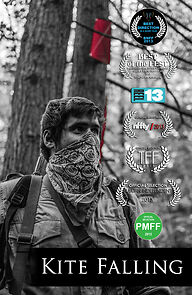 Watch Kite Falling (Short 2013)
