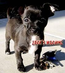 Watch Zack's Machine (Short 2007)