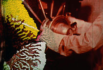 Watch Spark of Being