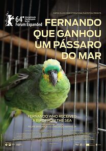 Watch Fernando Que Ganhou Um Pássaro Do Mar (Short 2013)