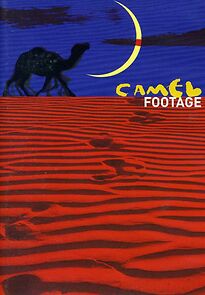 Watch Camel Footage
