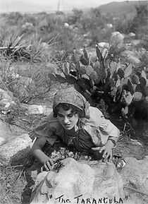 Watch The Tarantula (Short 1913)