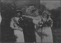 Watch The Ten Thousand Dollar Toe (Short 1913)