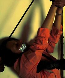 Watch Primal Instinct