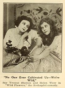 Watch Wild Flowers (Short 1919)