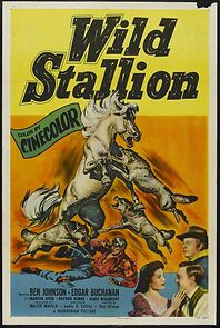 Watch Wild Stallion