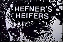 Watch Hefner's Heifers