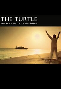 Watch The Turtle (Short 2012)