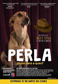 Watch Perla: La Película
