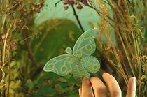 Watch Adaptación (Short 2012)