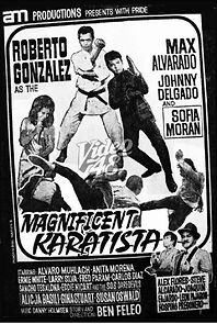 Watch Magnificent Karatista
