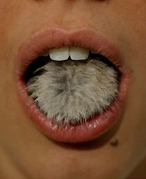 Watch The Beauty Is the Beast! (Short 2004)