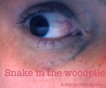 Watch Script to Reel: Snake in the Woodpile (Short 2010)