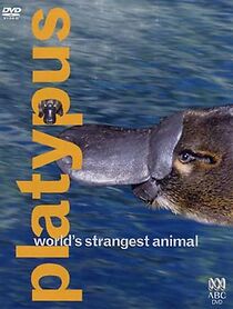 Watch Platypus: World's Strangest Animal