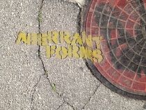 Watch Aberrant Forms: A Jurassic Short (Short 2014)