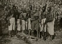 Watch Toll of the Jungle (Short 1916)