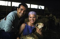 Watch Im Himmel schreibt man Liebe anders