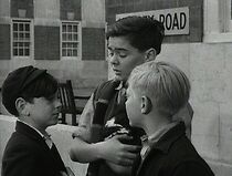 Watch The Dog and the Diamonds