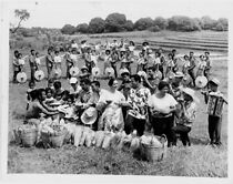 Watch Lawiswis kawayan