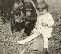 Watch Terrors of the Jungle (Short 1913)