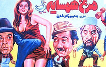 Watch Neighbour's Chicken