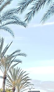 Watch Adhd 2015 (Short 2015)