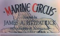 Watch Marine Circus (Short 1939)