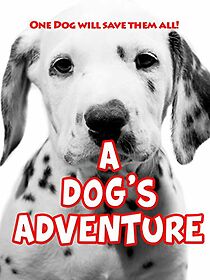 Watch Operation Dalmatian: Paws & Claws Rescuers