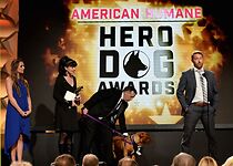 Watch 2016 Hero Dog Awards (TV Special 2016)