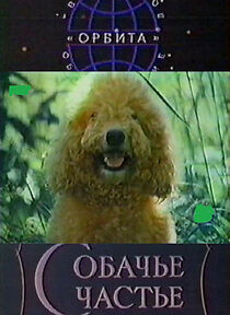 Watch Sobachye shchastye