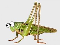 Watch In the Grass Grasshopper Sat (Short 2012)