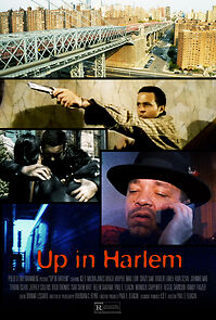 Watch Up in Harlem
