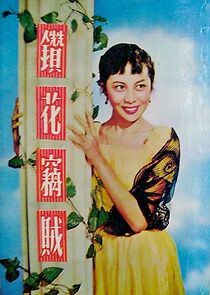 Watch Zhuan hua qie zei