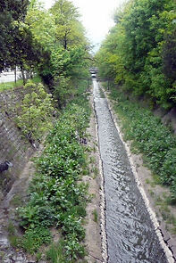 Watch Perlovetz - Pekata na zhivota