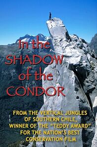 Watch In the Shadow of the Condor