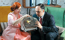 Watch Corba od kanarinca