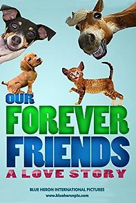 Watch Our Forever Friends