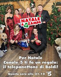 Watch Natale a 4 zampe