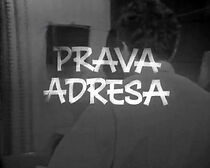 Watch Prava adresa