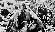 Watch The Hayseed (Short 1923)