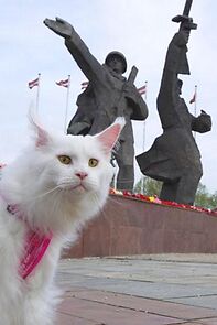Watch Cats in Riga (Short 2014)