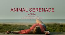 Watch Animal Serenade (Short 2013)