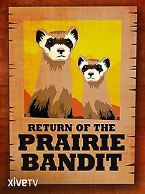 Watch Return of the Prairie Bandit