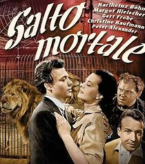 Watch Salto Mortale