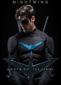 Watch Nightwing: The Series
