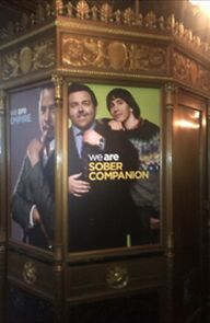 Watch Sober Companion