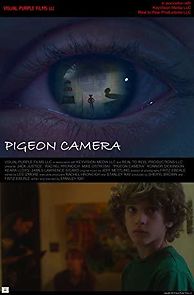 Watch Pigeon Camera