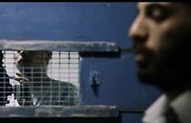 Watch The Pool (Short 2005)